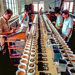 vom-strauch-zum-tee-btn